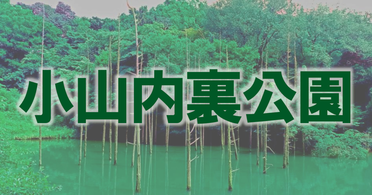 9月1週目の花 ～9月5日版～