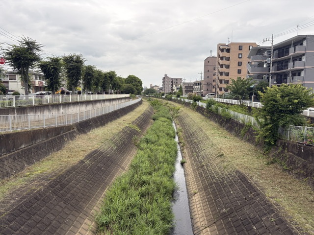 【ちょっとそこまで】大栗川までお散歩