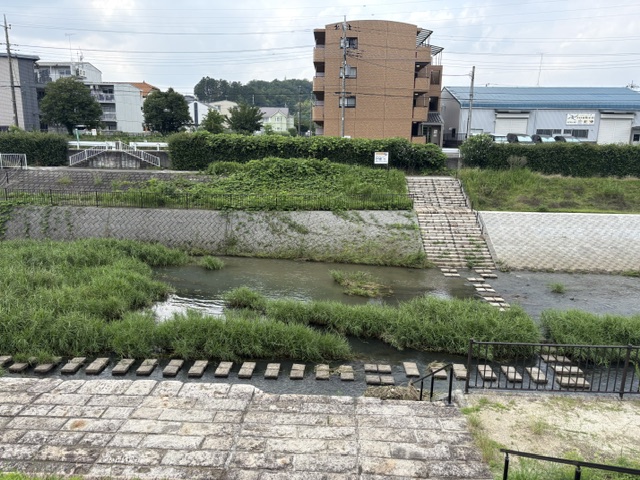 【自転車で少し遠くへ】大栗川 堀之内の飛び石まで
